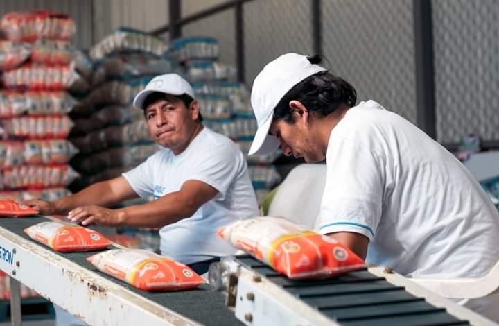 Empacadores de Arroz postula+ 19 vacantes